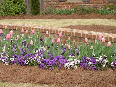 Planting & Sod, Woodstock, GA
