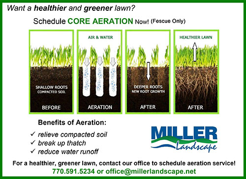 Spring and Fall Aeration