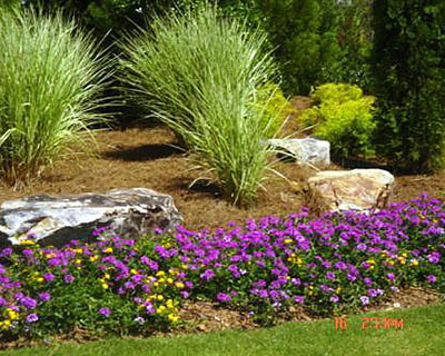 Landscape Design Woodstock, GA