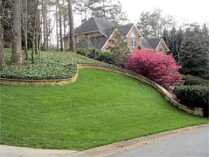 Landscape Design, Alpharetta, GA