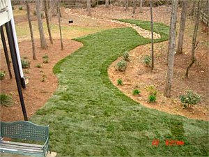 Dry Creek Beds and Boulders, Alpharetta, GA