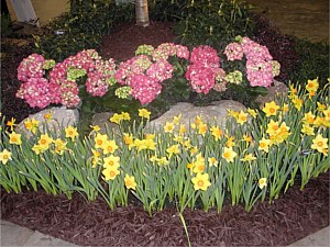 Flower Show, Alpharetta, GA