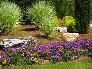 Planting & Sod, Woodstock, GA