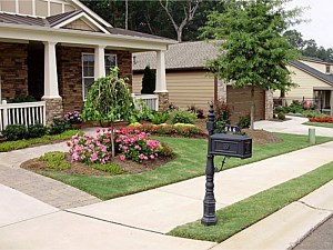 Planting and Sod, Marietta, GA